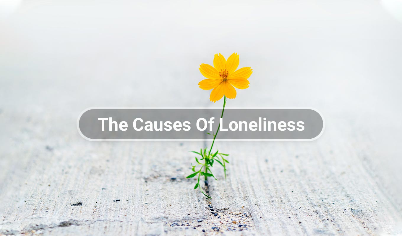 yellow flower growing through crack in the pavement with text overlay that reads the causes of loneliness