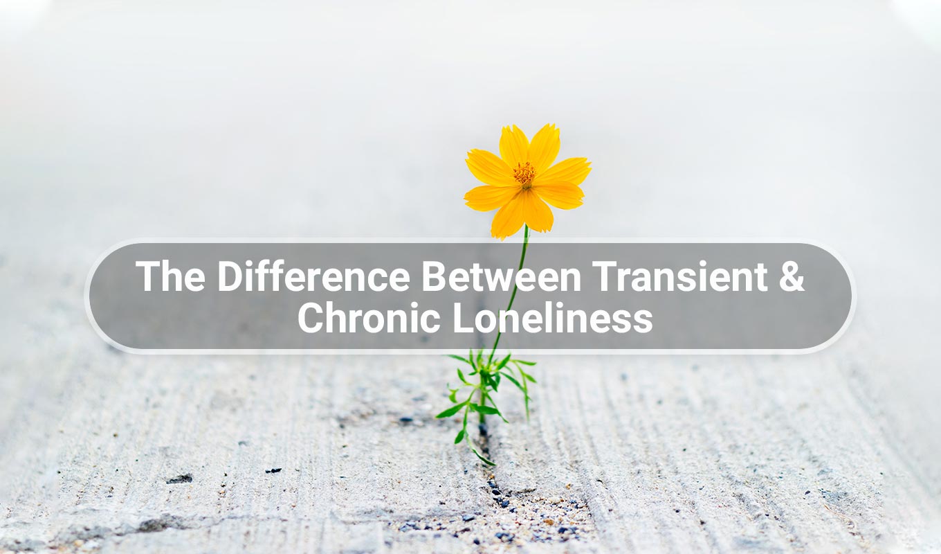 Photograph Of Yellow Flower Growing Through Crack With Text Overlay "The Difference Between Transient & Chronic Loneliness"
