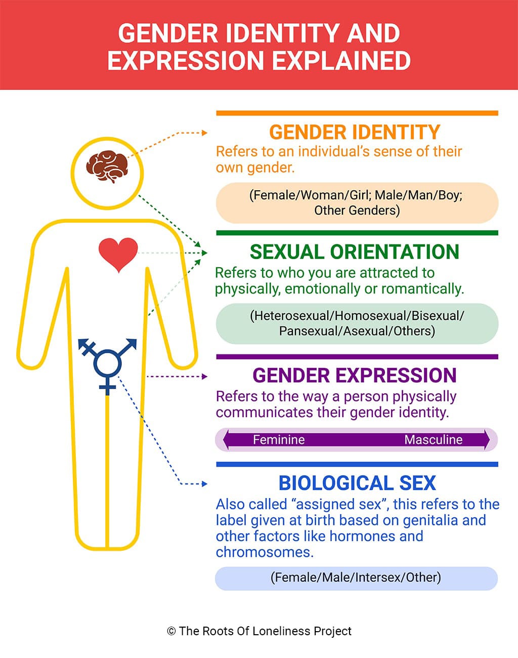 Gender Identity Infographic