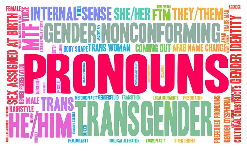 graphic of all the different gender identifying vocabulary incljuding pronouns to avoid misgendering