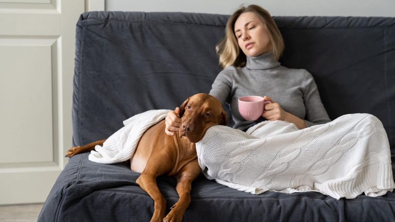 Photograph Of Thoughtful Woman Relaxing On The Couch With Her Dog, Loneliness Concept