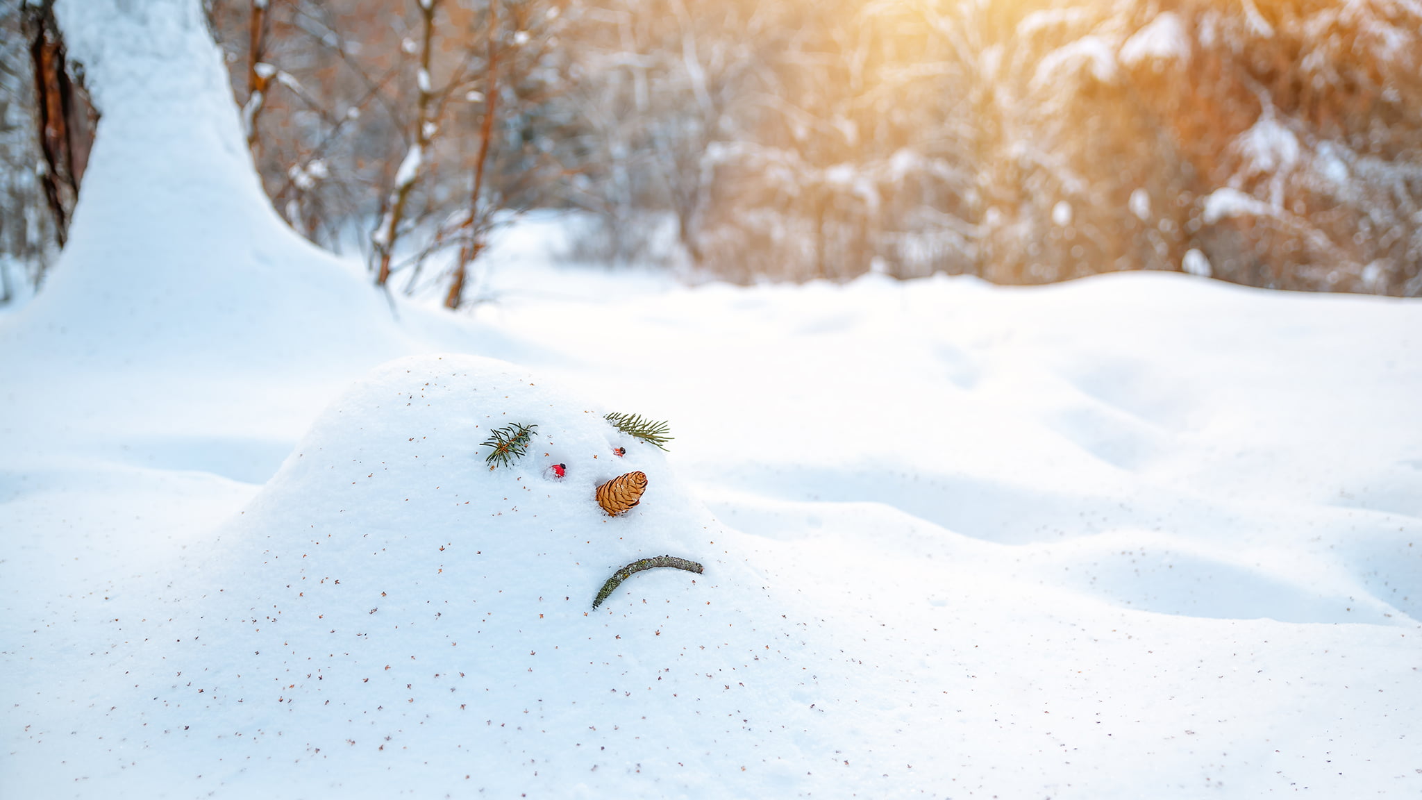 A Melted Snowman Wears A Frowning Face, Holiday Sadness Concept