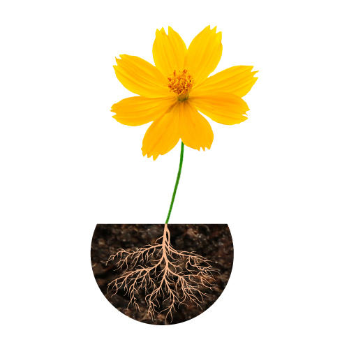 The Roots Of Loneliness Icon