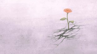 Illustration Of Yellow Flower Growing Through Shadowy Cracks Along The Ground