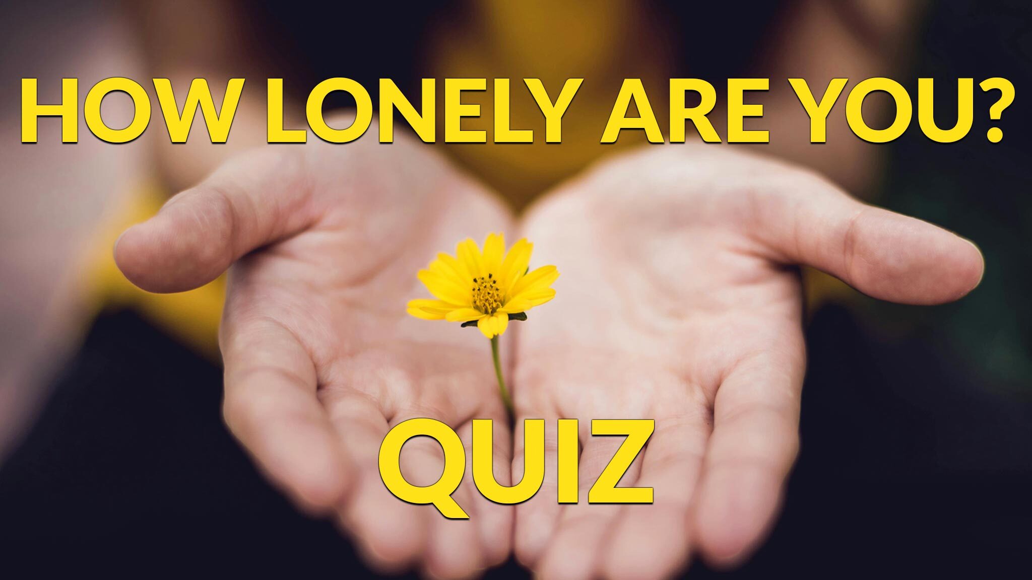 open hands facing palms upward with a small yellow flower rising between them, text overlay that reads: how lonely are quiz