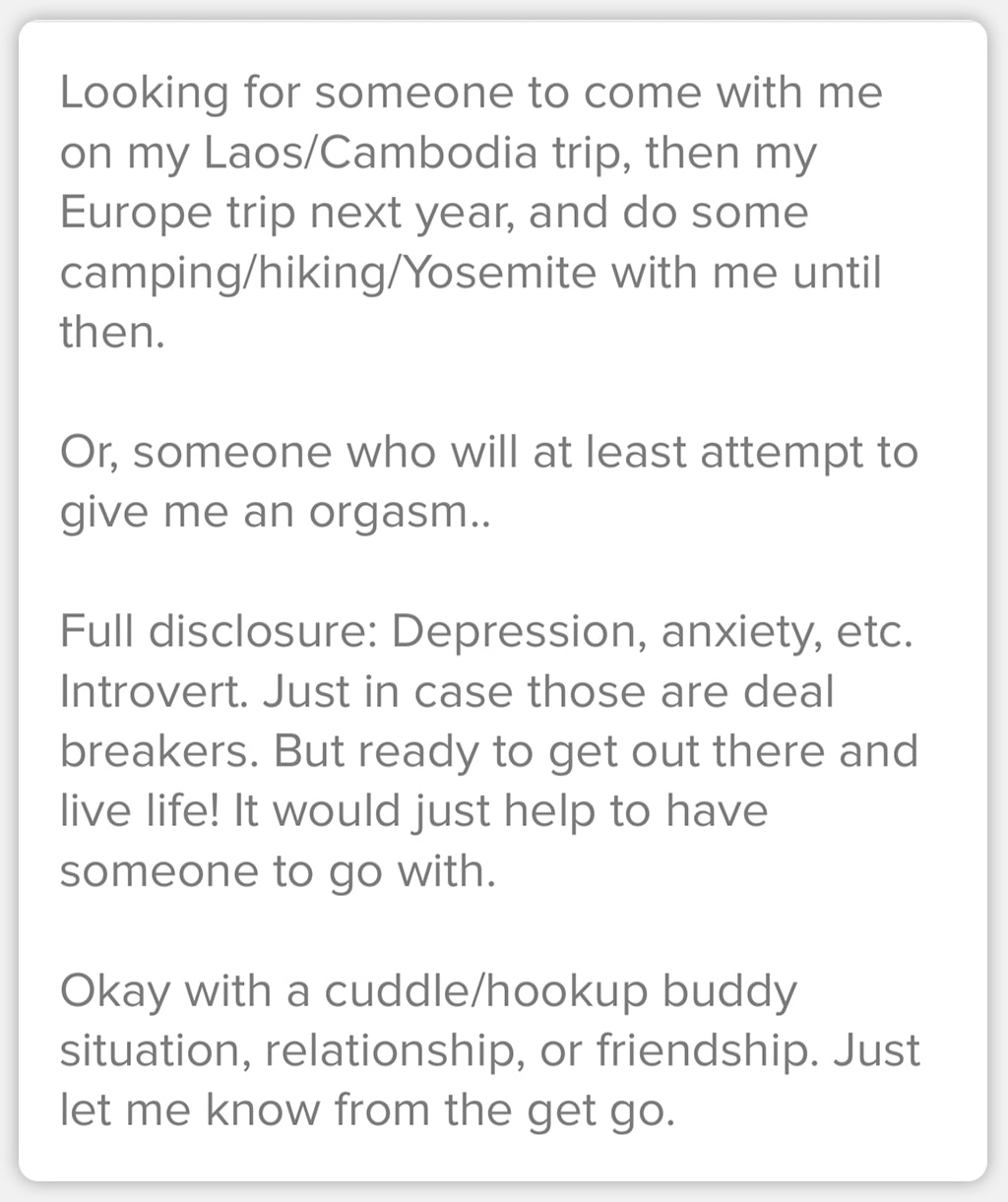 Screenshot Of An Online Dating Profile Description Showing Low Self-Esteem