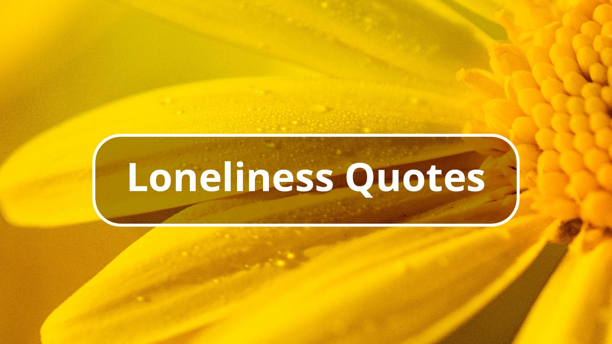 87 Loneliness Quotes That Will Make You Think, Laugh — And Cry Macro Photograph Of Yellow Flower Petals With "Loneliness Quotes" Text