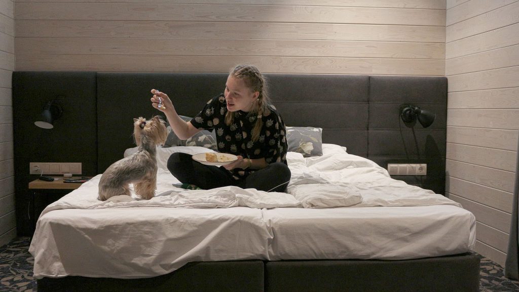 Photograph Of Happy Young Woman Sitting On Bed Feeding Small Dog With Fork