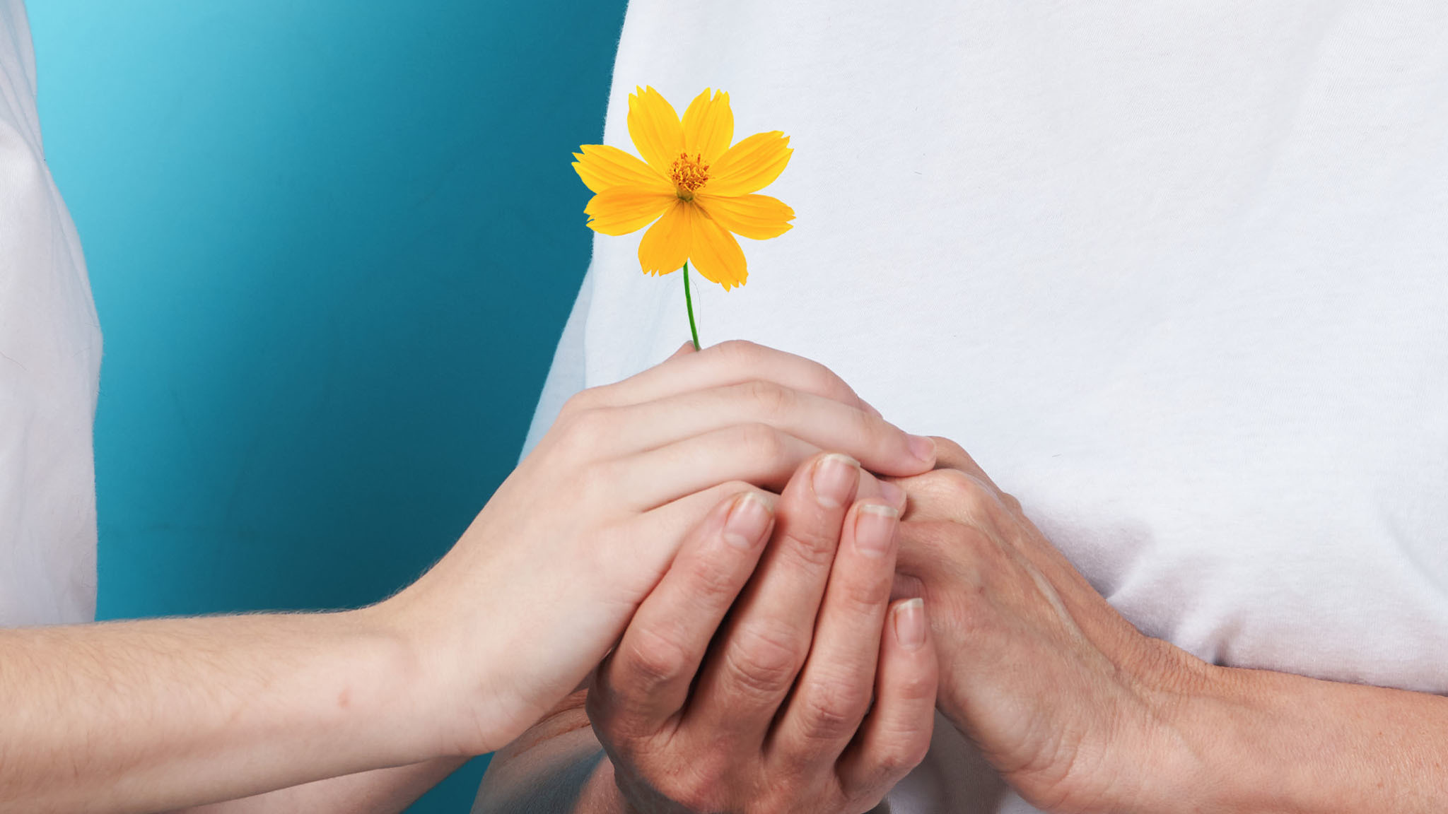 Photograph Of Two People's Hands Clasping One Another While Holding A Yellow Flower, Hope Concept