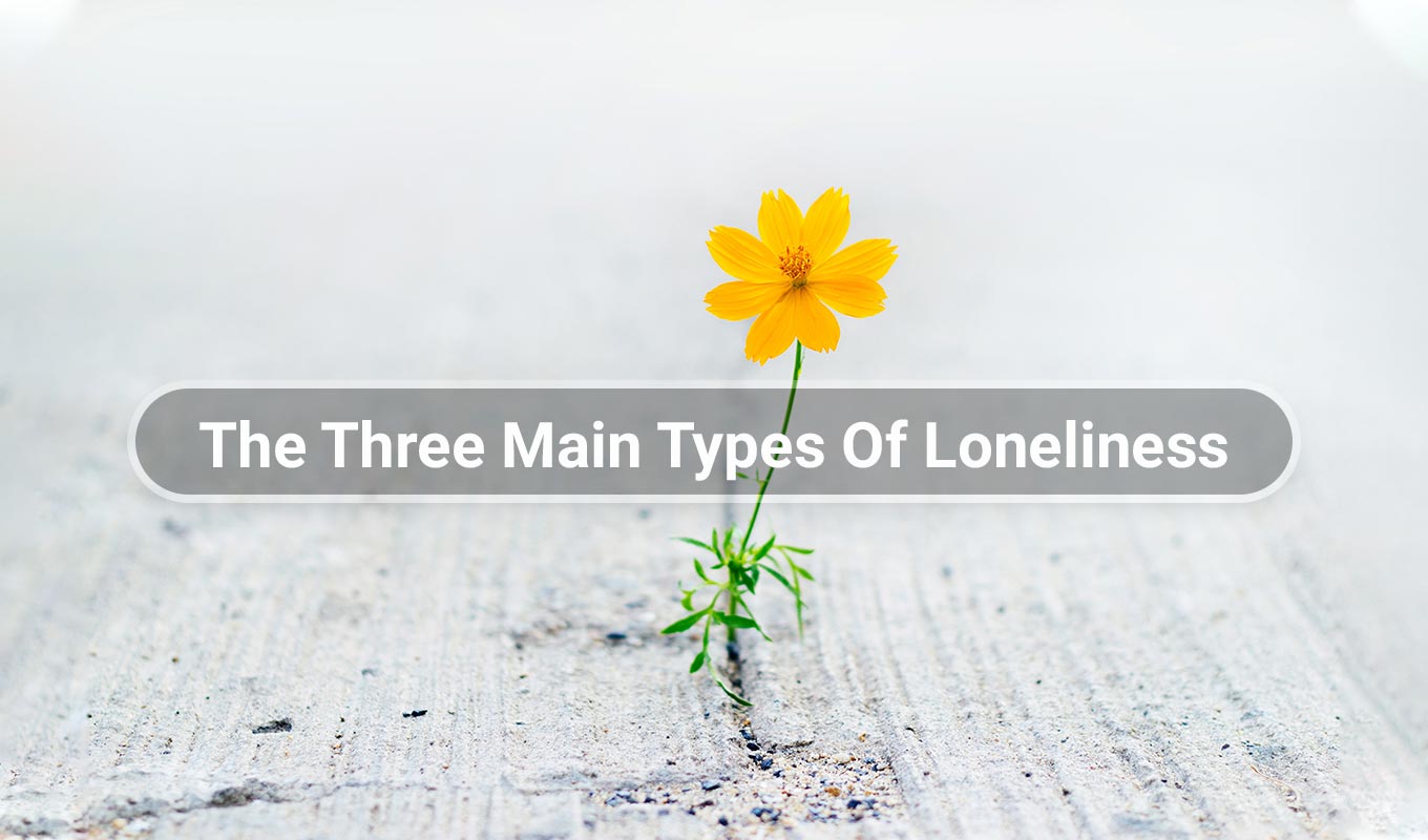 yellow flower growing through crack in the pavement with text overlay that reads the three main types of loneliness