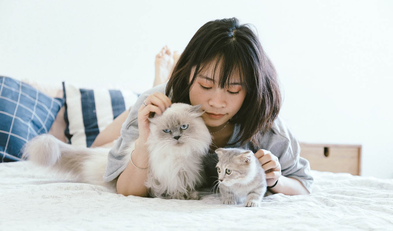 photograph of a woman petting her two cats on her bed, soothing herself from loneliness with her two companions